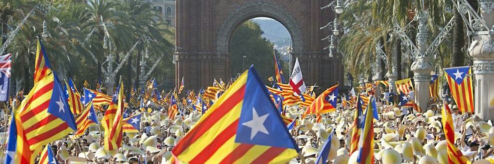 David ll*ll 🏴 banner