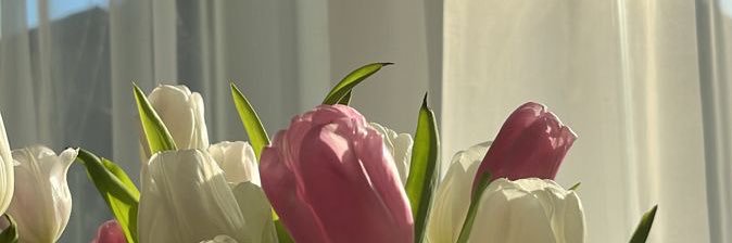 rietypp's profile banner image