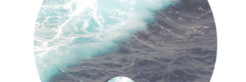 yedekfect6's profile banner image