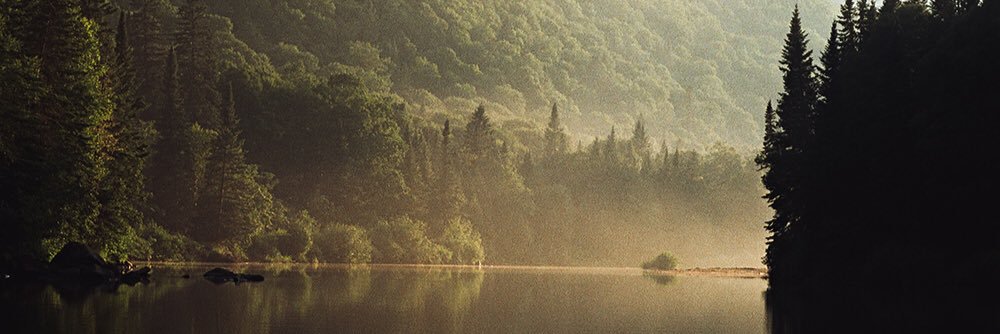 dbthompson00's profile banner image