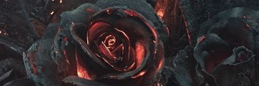 HiddenHalfMask's profile banner image