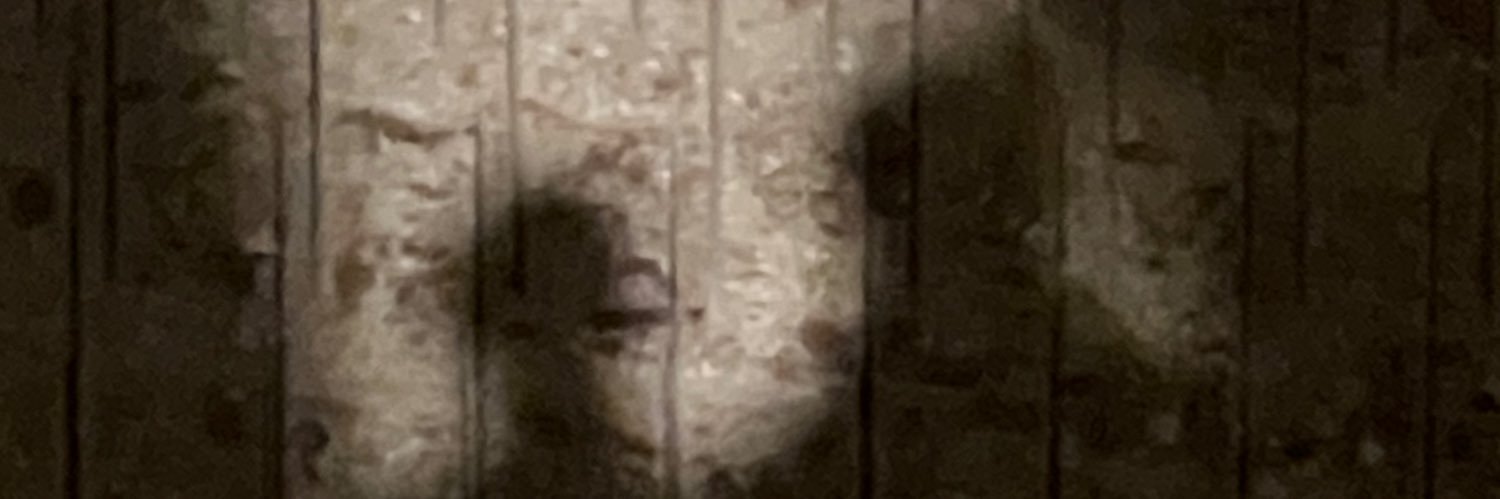 ∠じゅんぺー banner