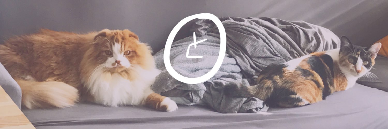 riepiice's profile banner image