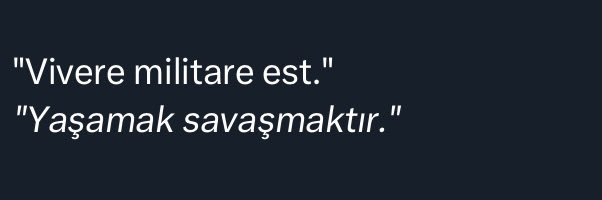 zeynepppkaya's profile banner image