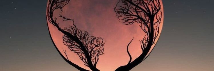 faruuuui's profile banner image