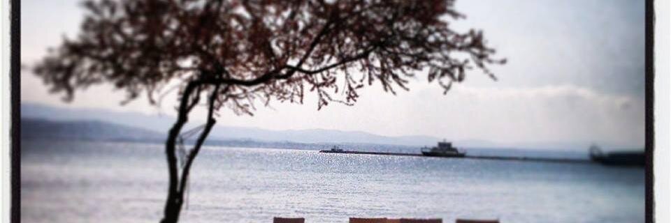 anni1991's profile banner image