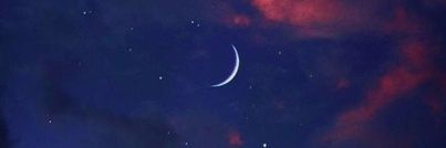 decadence_moth's profile banner image