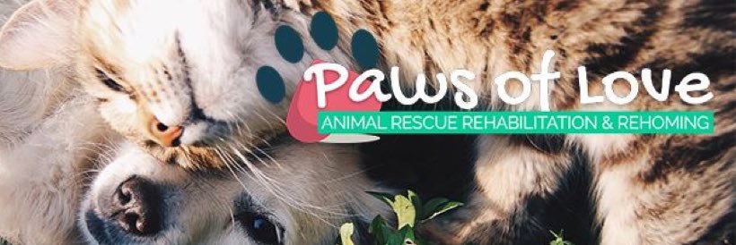 PawsofLoveAR's profile banner image