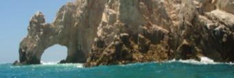 Danielle Genova banner