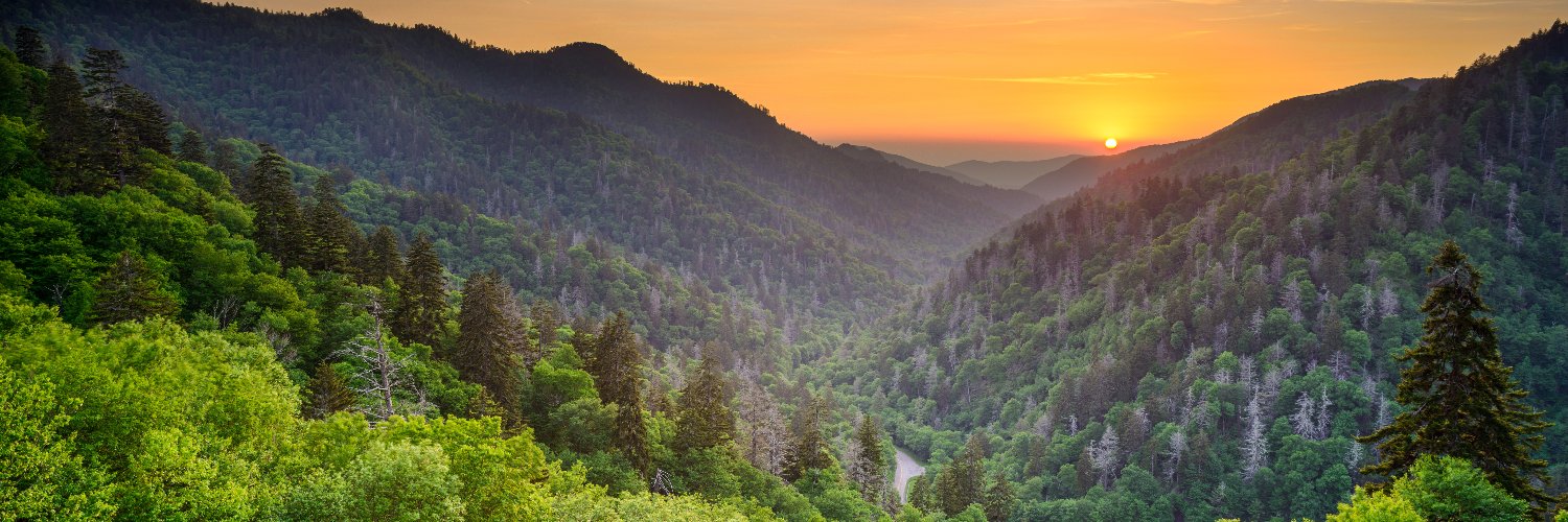 Kathleen Thomas banner