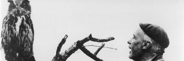 camachosilvente's profile banner image