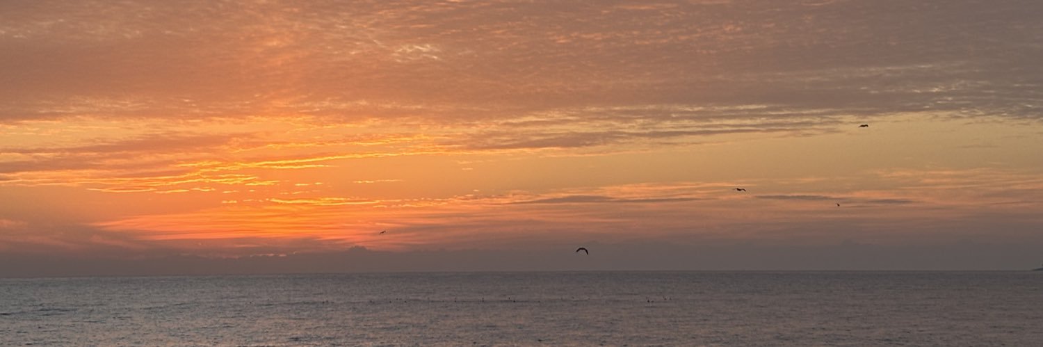 mt660913's profile banner image