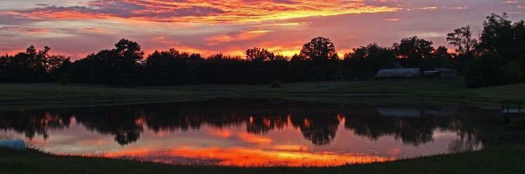 CarsonPullen's profile banner image