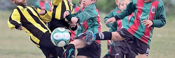 Homo Orientalis banner