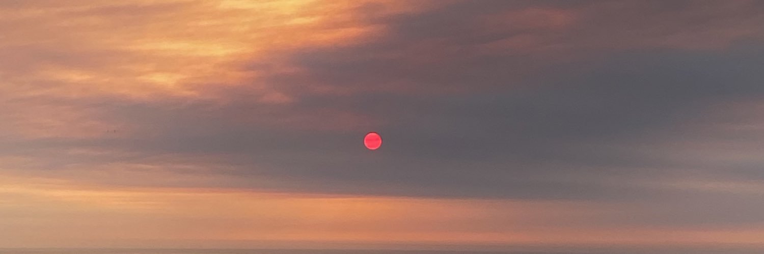 Judit Fernández banner