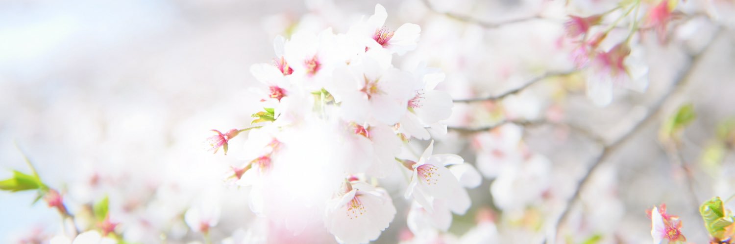 SAITOtheEND's profile banner image