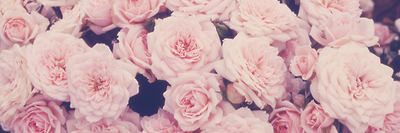 ralyntyler's profile banner image