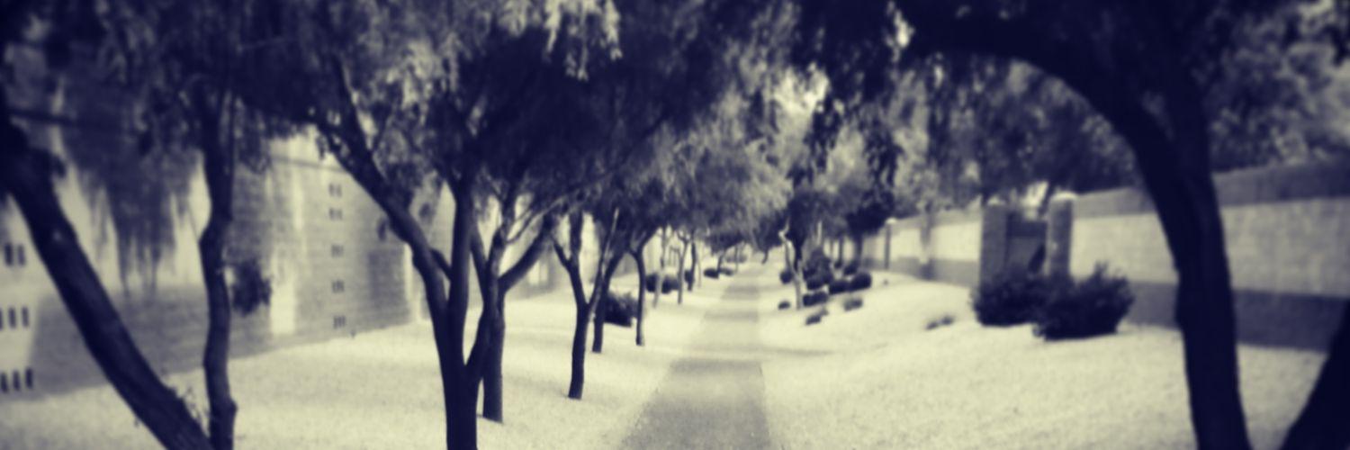 iamthemountain's profile banner image
