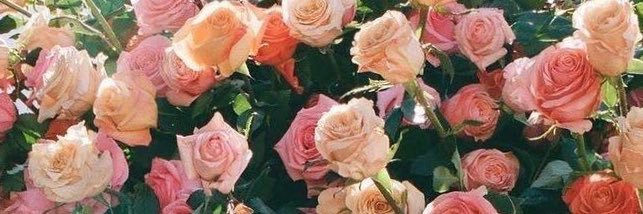 puja10796's profile banner image