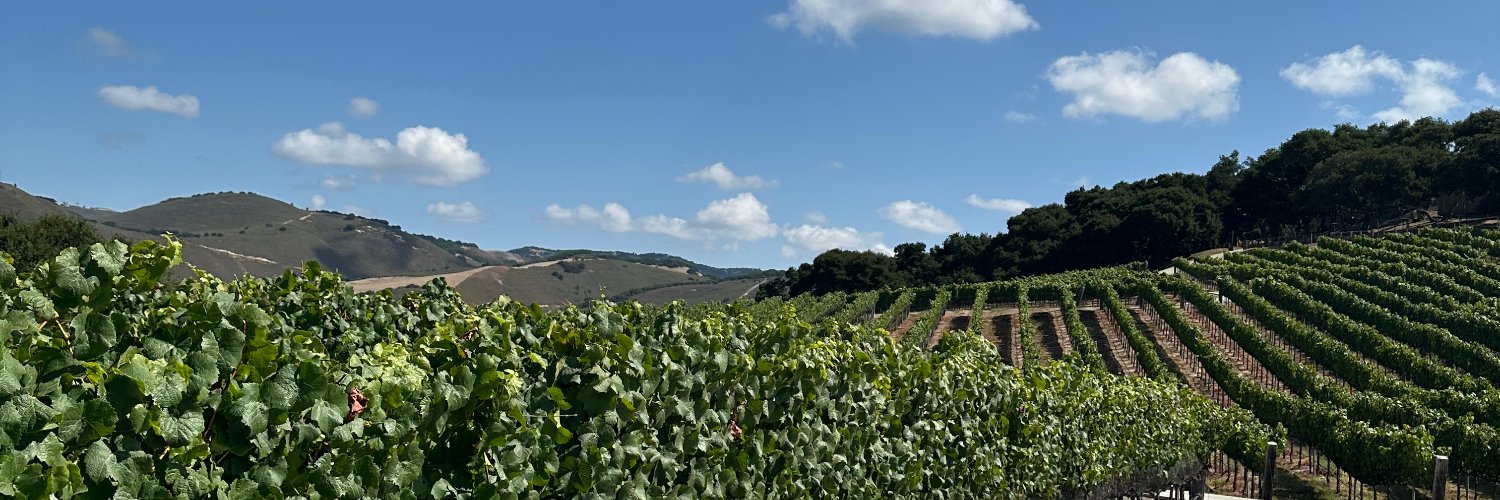 Ketki Duvvuru banner