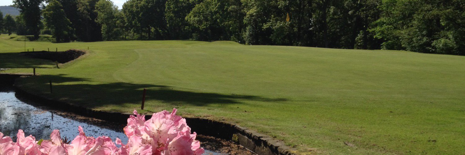 SedberghGolf's profile banner image