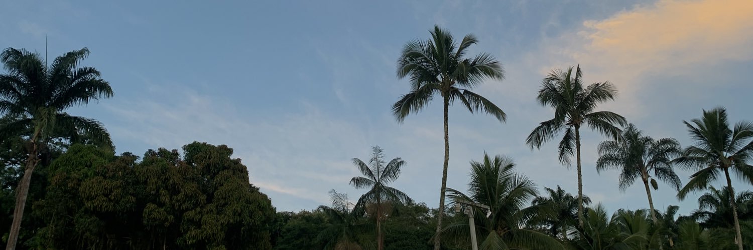 ffcmaduu's profile banner image