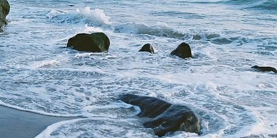 1DyScreamau's profile banner image