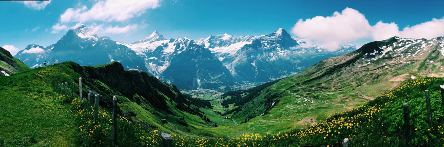 Meg Hobler banner