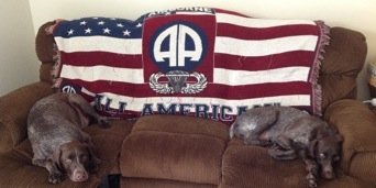 Reginald Thompson #Immadogdad banner