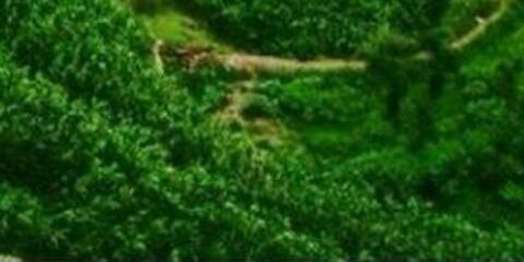asmail141414's profile banner image