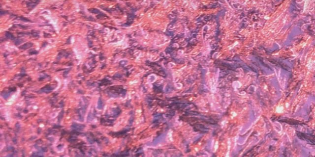 poemsandthought's profile banner image