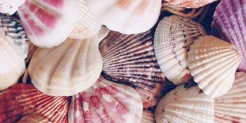 LeninaMilton's profile banner image