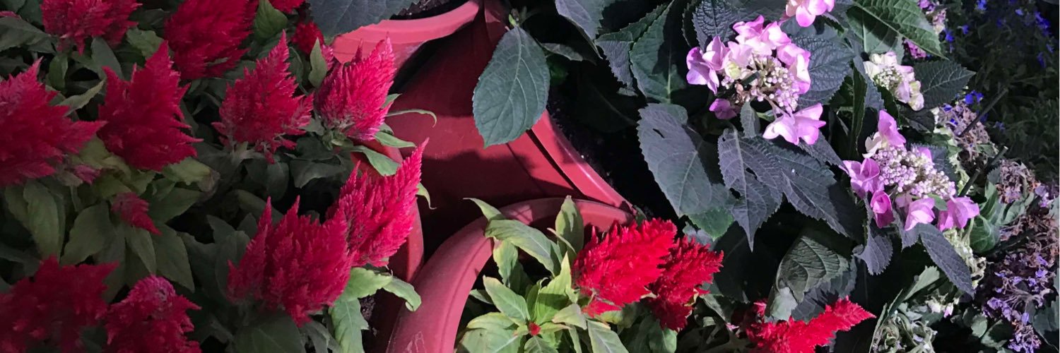 AzooYaser's profile banner image