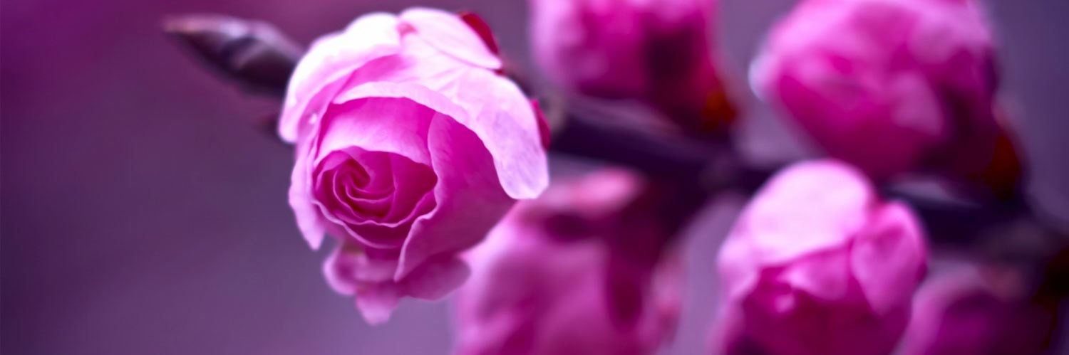 Drm_cs's profile banner image