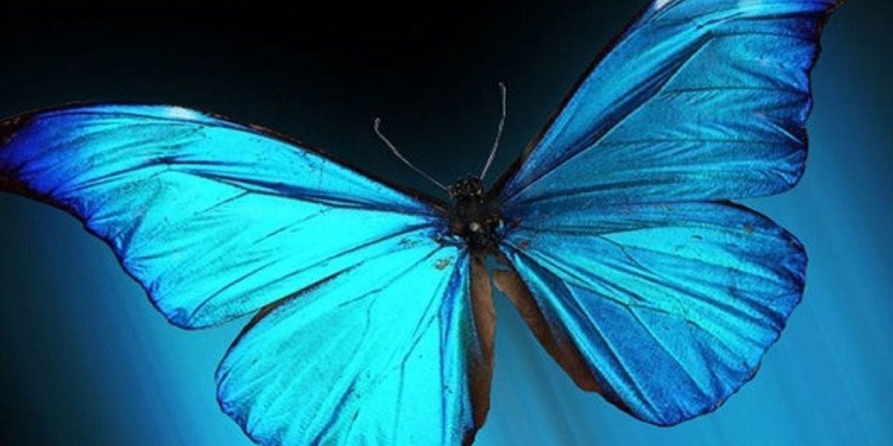 VeeJayCox's profile banner image