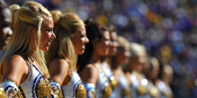 LSU Tiger Football banner