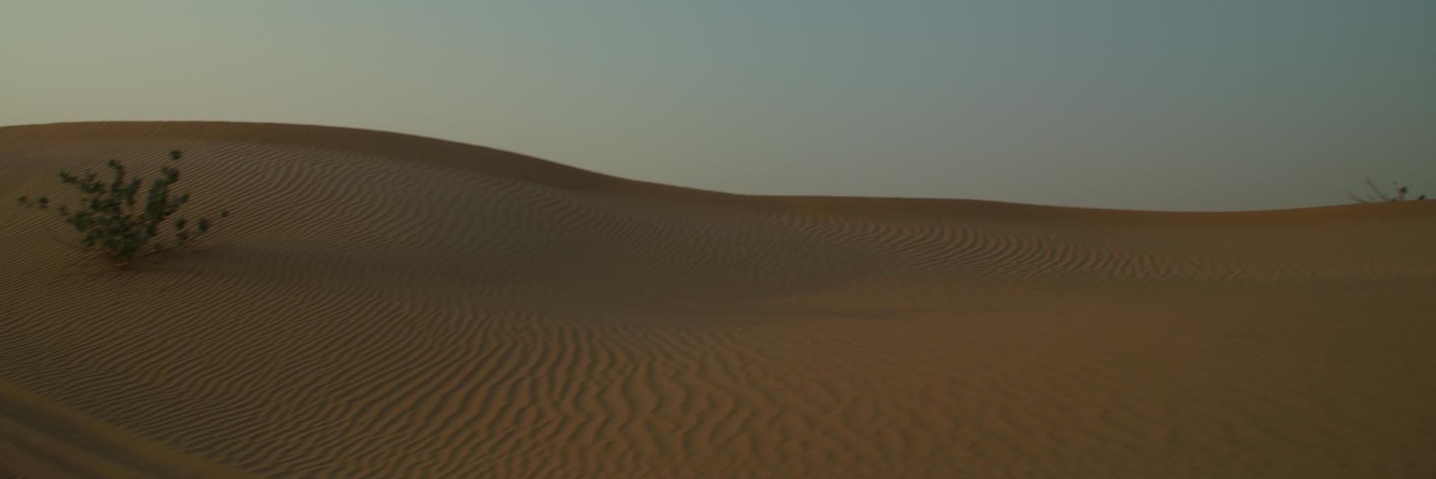 pinkiundbrain's profile banner image