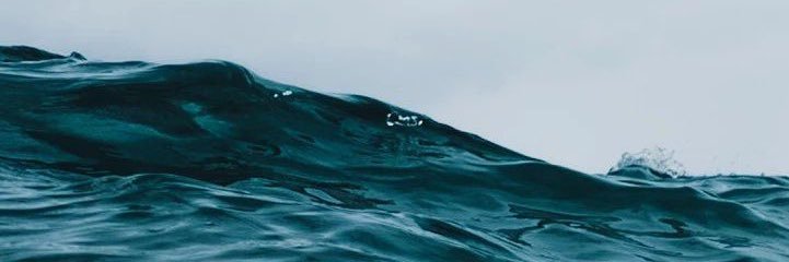 n_holmquist's profile banner image