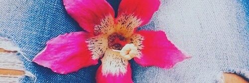 anitawesso2's profile banner image