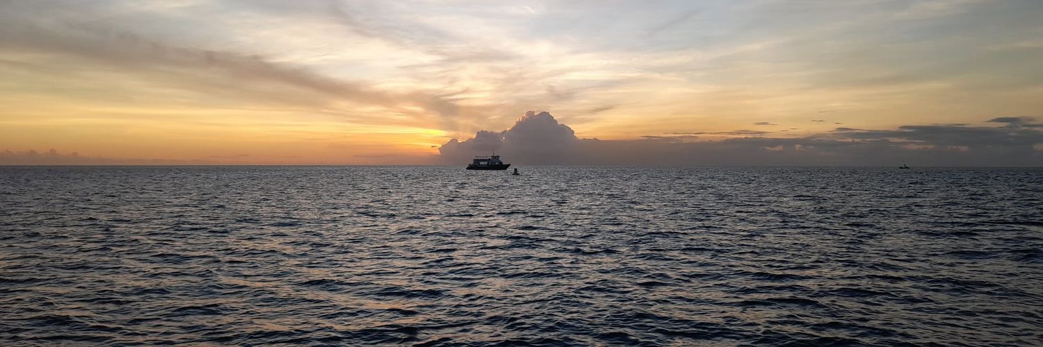 Z33SandStress banner