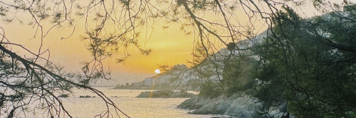 alison_marion19's profile banner image