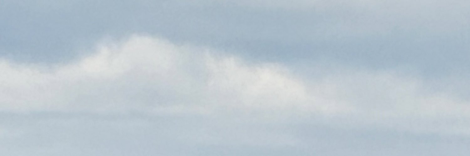 simonegwenn_'s profile banner image