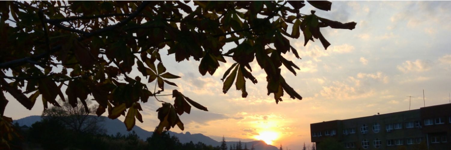 zekkra_a's profile banner image