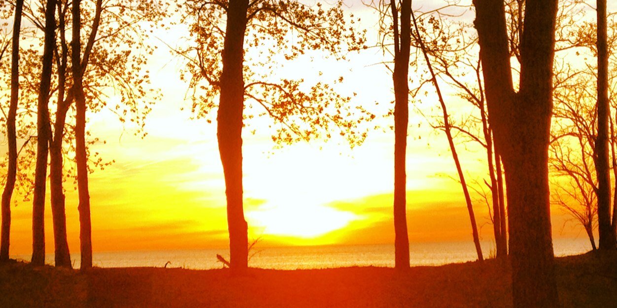 allysoko's profile banner image