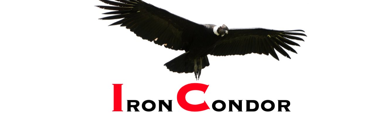 Sell_IronCondor's profile banner image