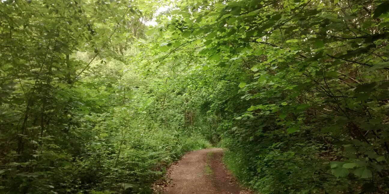 Guillermo Barquero banner