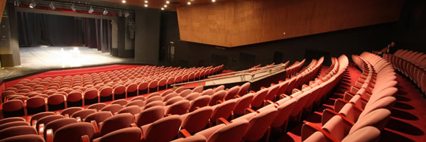 Beogradsko dramsko pozoriste banner