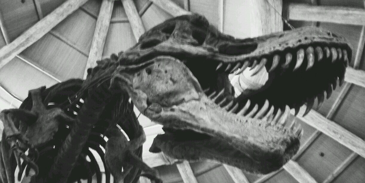 MarcooPut's profile banner image