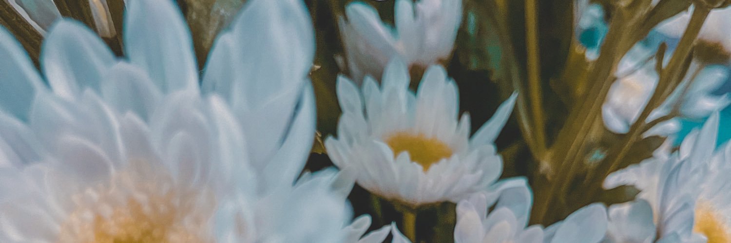 rmajcg's profile banner image