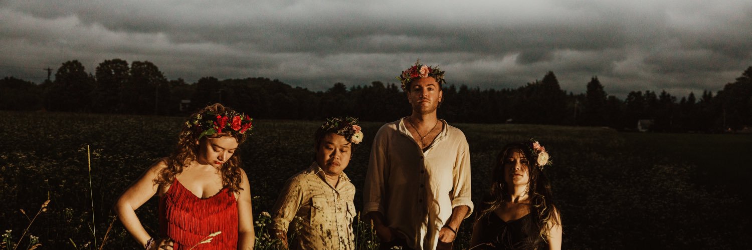 TwistedPineBand's profile banner image